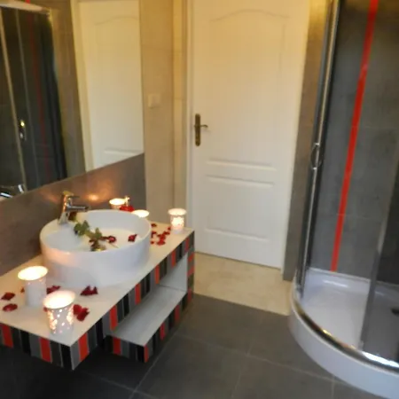 Bed & Breakfast U Alexa Zaluski (Plonsk)