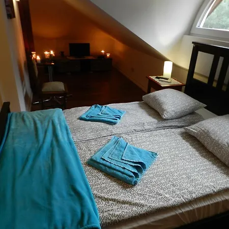U Alexa Nocleg ze śniadaniem 3*