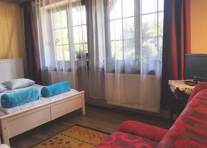 U Alexa Zaluski (Plonsk)