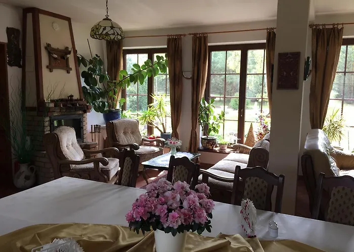 Bed & Breakfast U Alexa Zaluski (Plonsk)