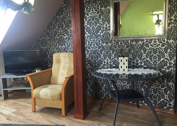 Bed & Breakfast U Alexa Zaluski (Plonsk)